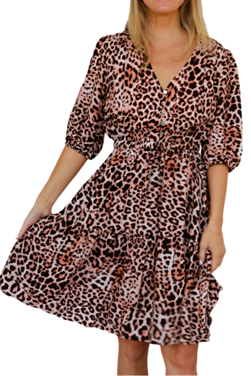 Esther V-Neck Mini Dress