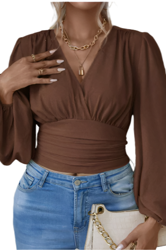 Darlene Lantern Sleeve Brown Top