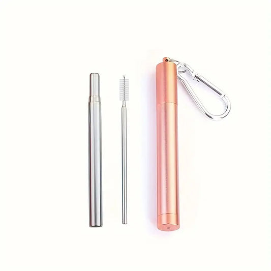 Reusable Metal Straw Key Ring